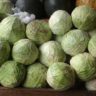will cabbage give you gas