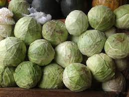 will cabbage give you gas