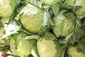 will cabbage make you poop