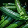 will zucchini climb a tomato cage
