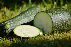 Will Zucchini Grow In Winter