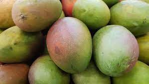 mango benefits