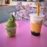 mango coco menu