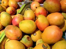 mango in australia