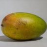 mango languages
