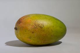 mango languages