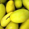 mango nutrition