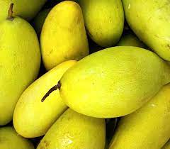 mango nutrition