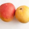 mango uk