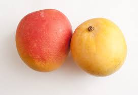 mango uk