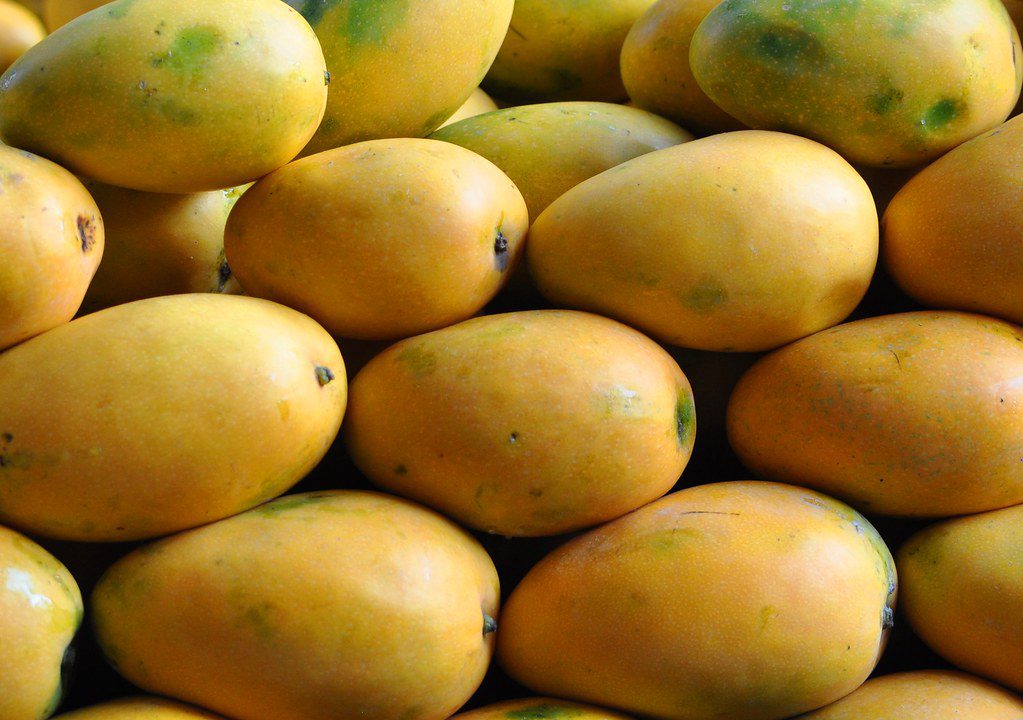 mango varieties