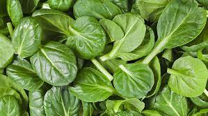 spinach carbs