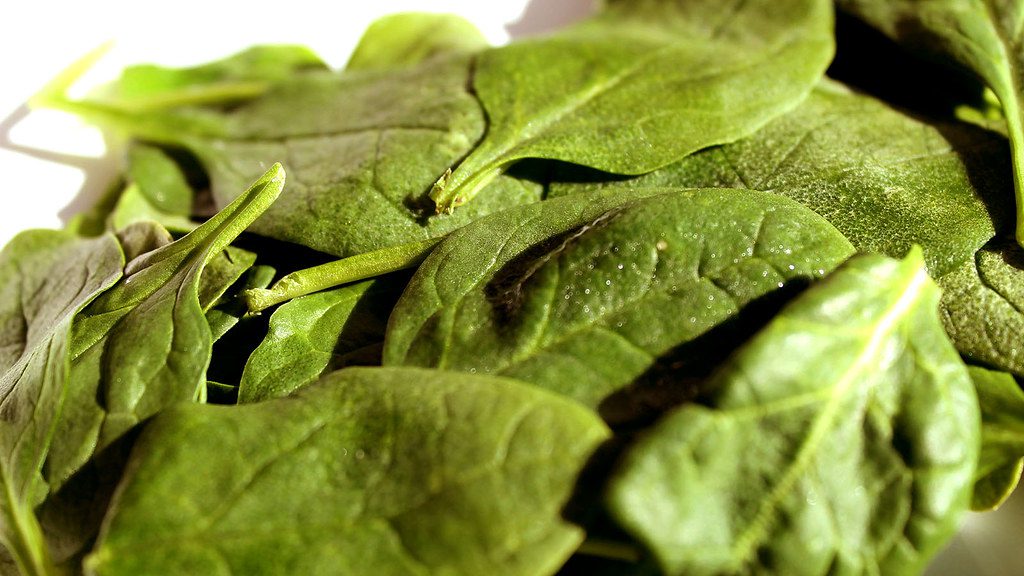 spinach english