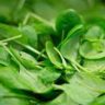 spinach fibre