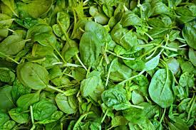 spinach how to grow