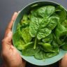 spinach oxalates