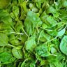 spinach pronunciation