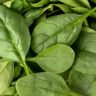 spinach substitute