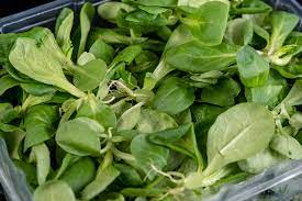spinach vs baby spinach