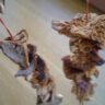 Mushrooms Jerky