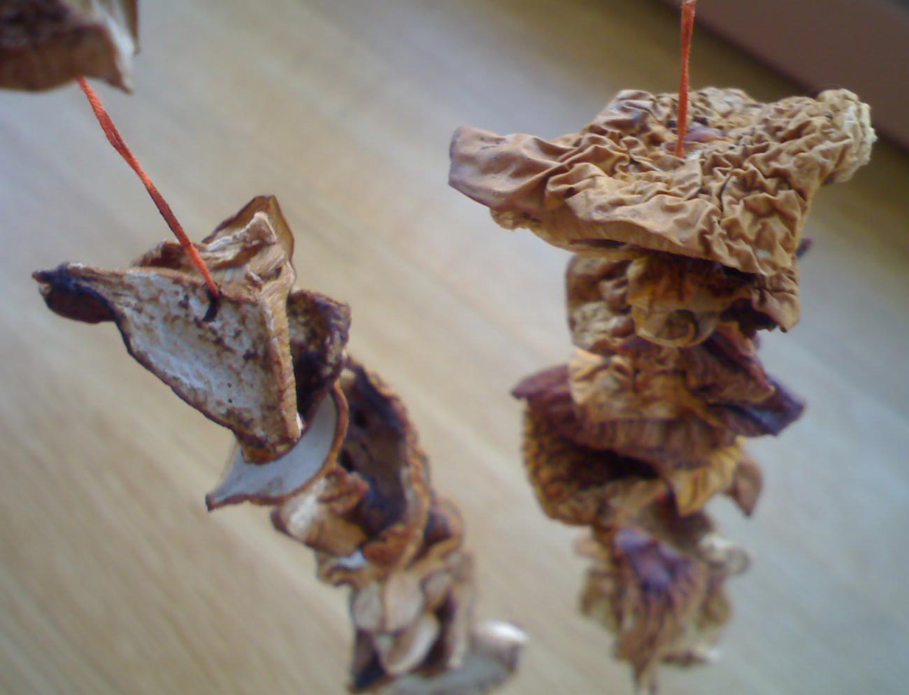 Mushrooms Jerky