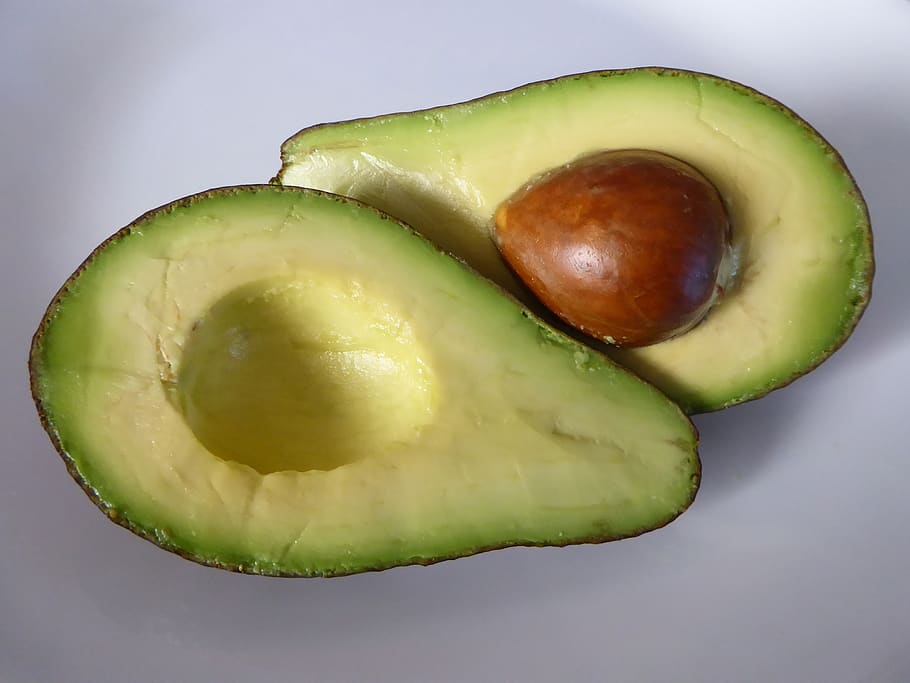 avocado fat content