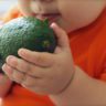 avocado for babies