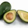 avocado fruit or vegetable