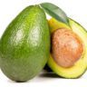 avocado in pregnancy