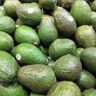 avocado pear