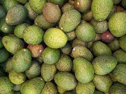 avocado price