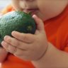 avocado recipes for babies