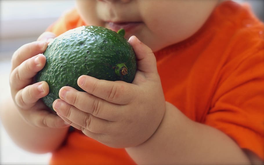 avocado recipes for babies