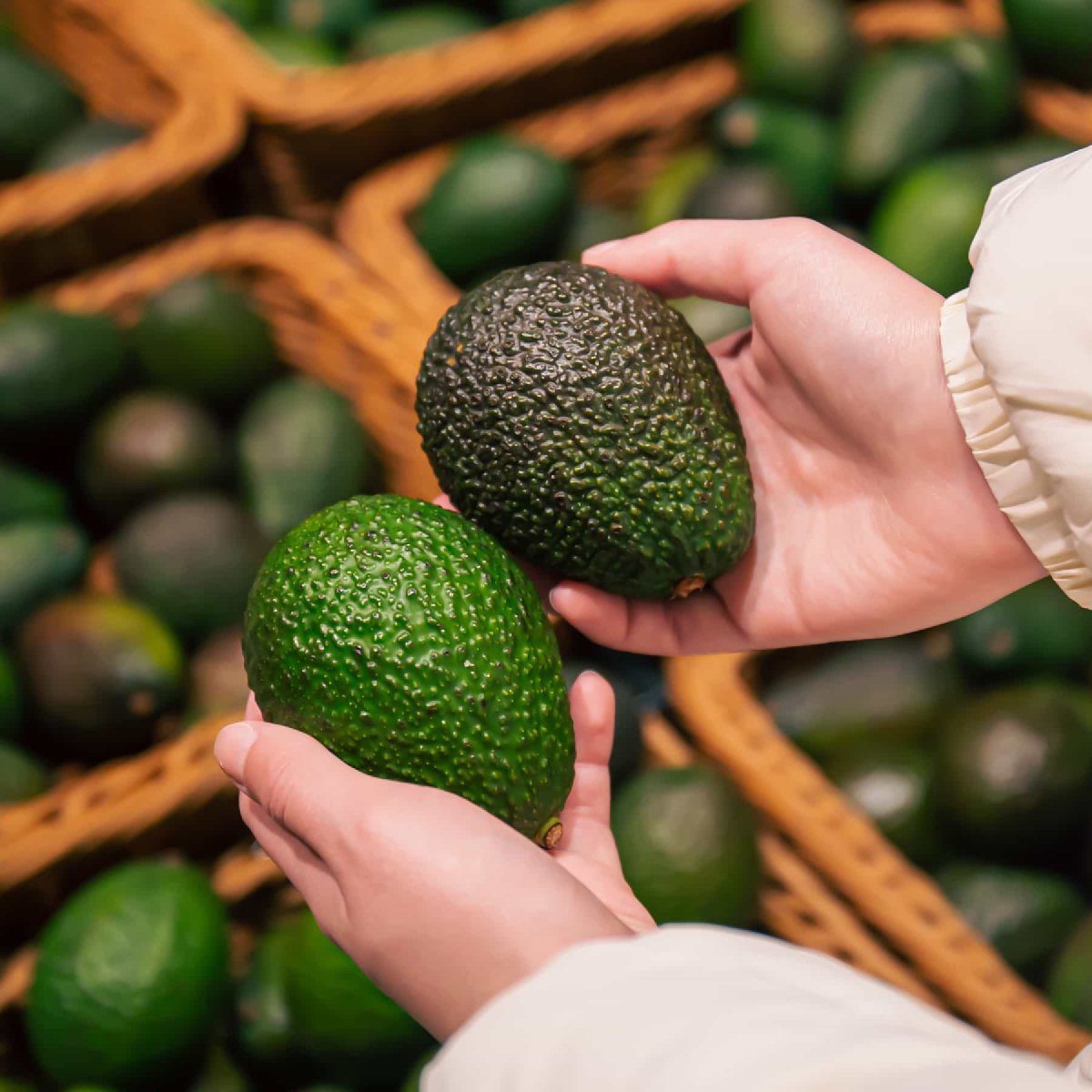 avocado types