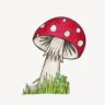 mushrooms clipart