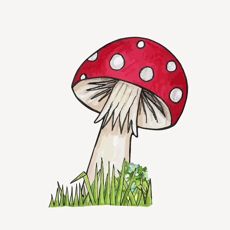 mushrooms clipart