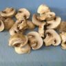 mushrooms dehydrator