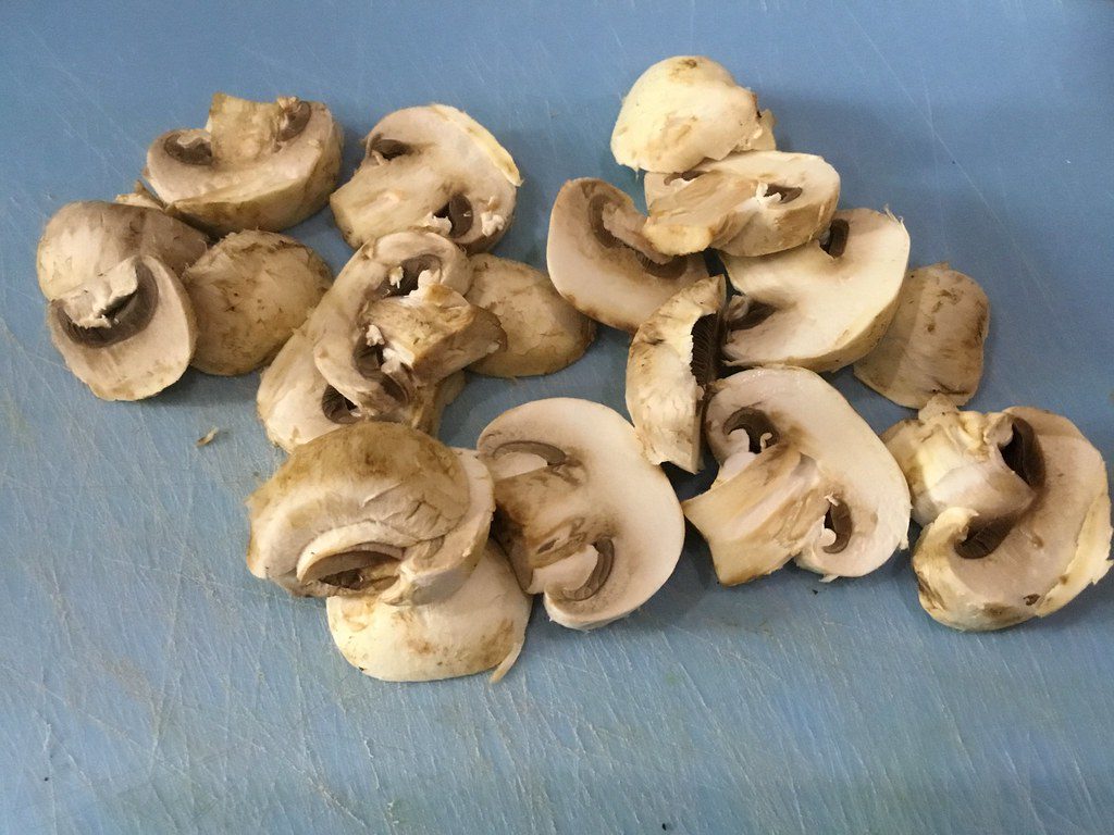 mushrooms dehydrator
