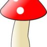 mushrooms drawing