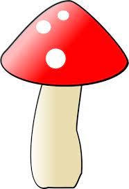 mushrooms drawing