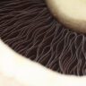 mushrooms fibre