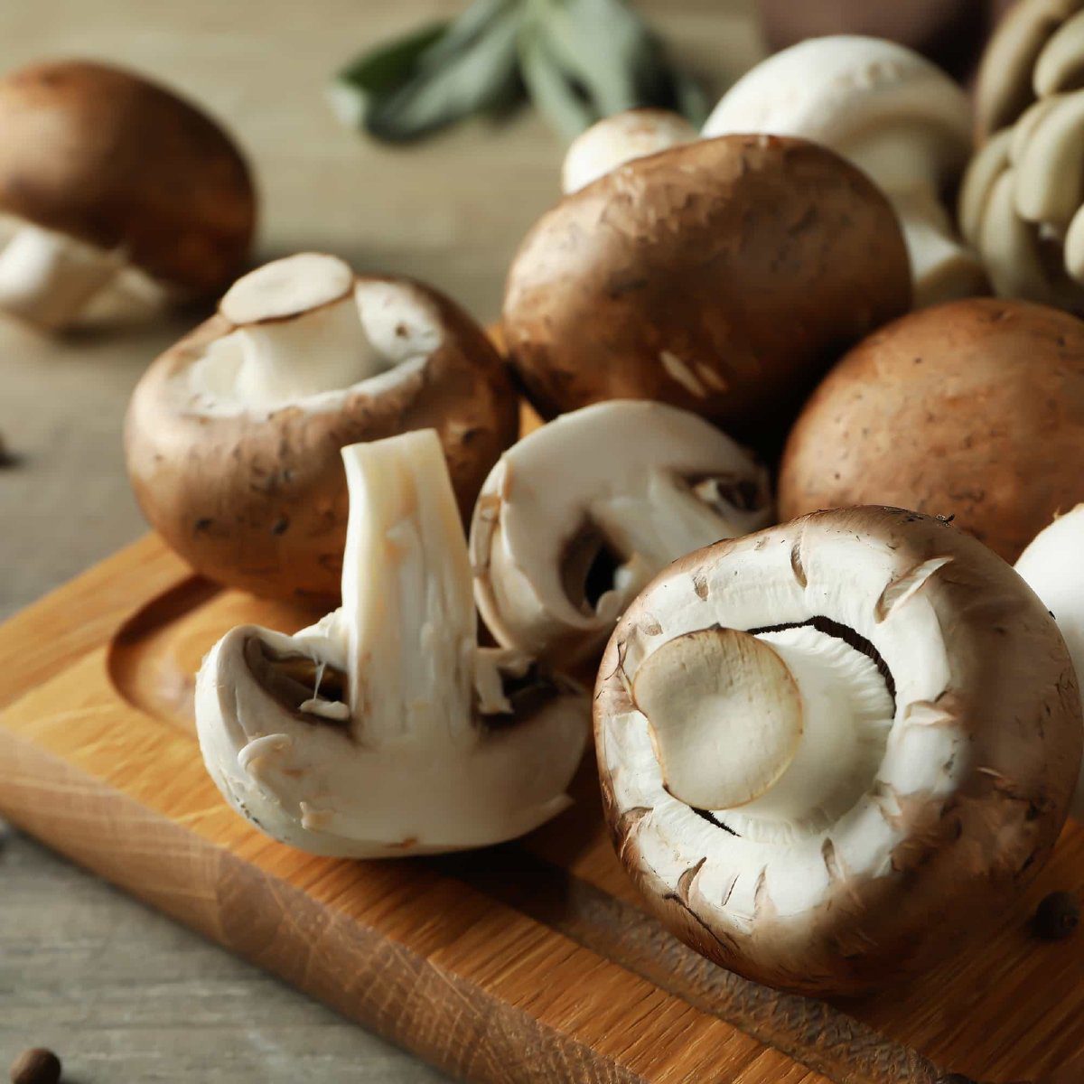 mushrooms nutrition facts