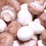 mushrooms nutritional benefits