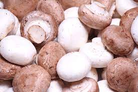 mushrooms nutritional benefits