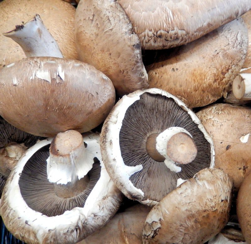 mushrooms portobello