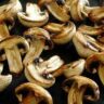 mushrooms pregnancy