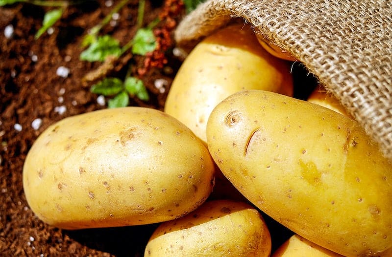 potatoes cost