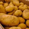 potatoes dutch cream