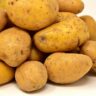 potatoes fibre
