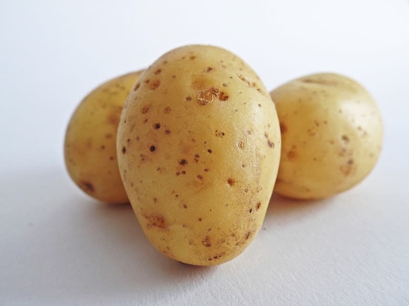 potatoes going green